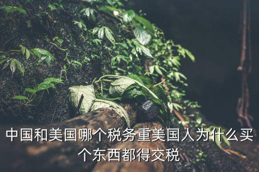 中國(guó)和美國(guó)哪個(gè)稅務(wù)重美國(guó)人為什么買個(gè)東西都得交稅