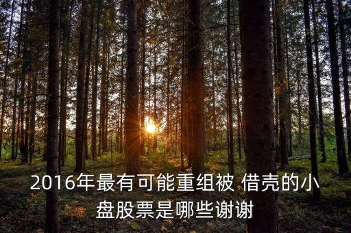 2016年最有可能重組被 借殼的小盤(pán)股票是哪些謝謝
