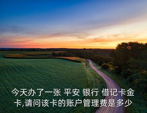 今天辦了一張 平安 銀行 借記卡金卡,請(qǐng)問(wèn)該卡的賬戶(hù)管理費(fèi)是多少