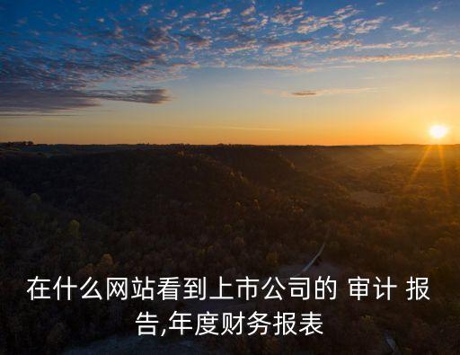 華映集團(tuán)審計(jì)報(bào)告,旺旺集團(tuán)審計(jì)報(bào)告