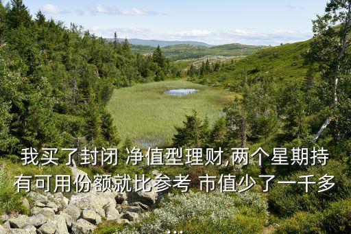 基金凈值與市值,荷銀市值基金今天凈值查詢(xún)