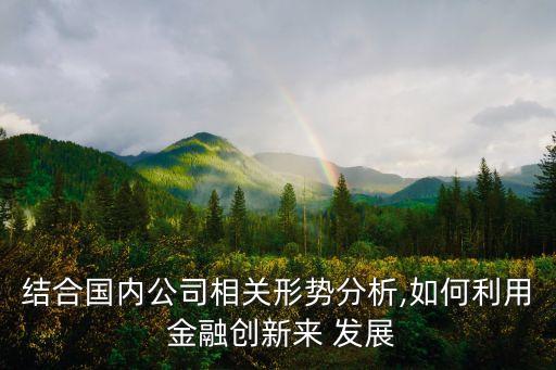 結(jié)合國(guó)內(nèi)公司相關(guān)形勢(shì)分析,如何利用 金融創(chuàng)新來(lái) 發(fā)展