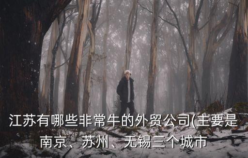 江蘇有哪些非常牛的外貿公司(主要是南京、蘇州、無錫三個城市