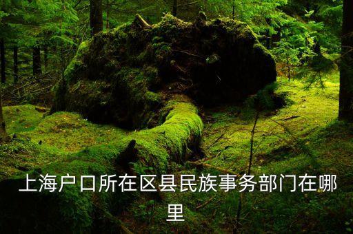 上?？刀?50弄?jiǎng)舆w,康定路848弄?jiǎng)舆w嗎?