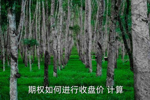  期權(quán)如何進(jìn)行收盤價 計(jì)算