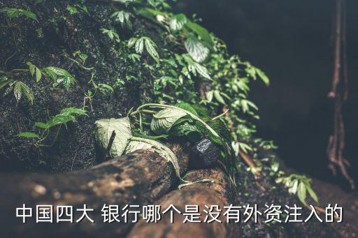 中國(guó)四大 銀行哪個(gè)是沒有外資注入的