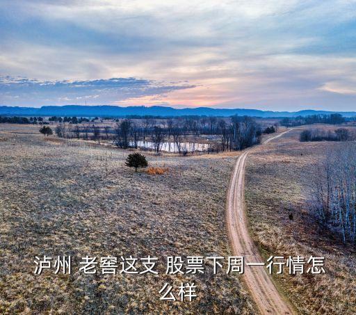 瀘州老窖股票歷史價
