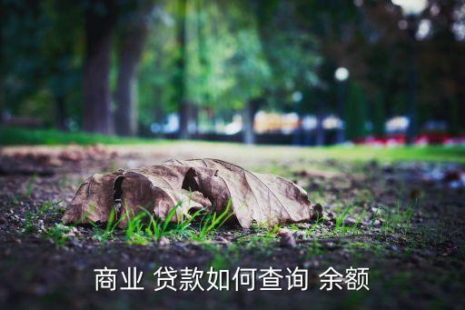 商業(yè) 貸款如何查詢 余額