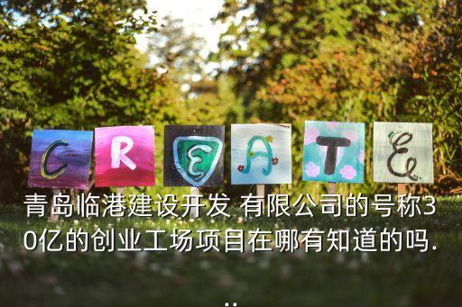 青島臨港建設(shè)開(kāi)發(fā) 有限公司的號(hào)稱(chēng)30億的創(chuàng)業(yè)工場(chǎng)項(xiàng)目在哪有知道的嗎...