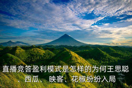 直播競(jìng)答盈利模式是怎樣的為何王思聰、西瓜、 映客、花椒紛紛入局