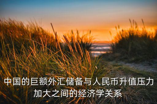 中國的巨額外匯儲備與人民幣升值壓力加大之間的經(jīng)濟學關系