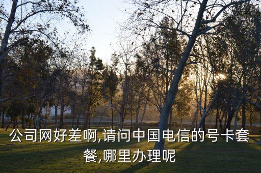 公司網(wǎng)好差啊,請(qǐng)問中國(guó)電信的號(hào)卡套餐,哪里辦理呢
