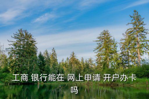 網(wǎng)上可以開通銀行開戶嗎,銀行開戶給我開通了國元證券