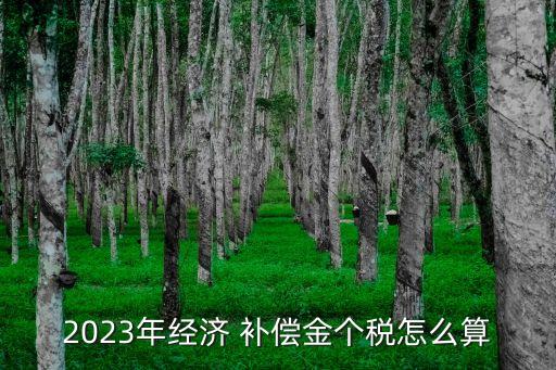 2023年經濟 補償金個稅怎么算