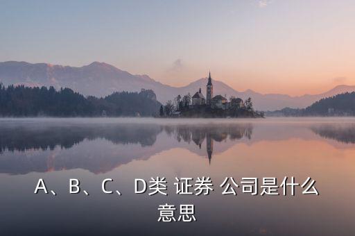 A、B、C、D類 證券 公司是什么意思