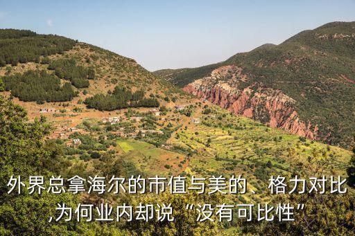 外界總拿海爾的市值與美的、格力對比,為何業(yè)內(nèi)卻說“沒有可比性”