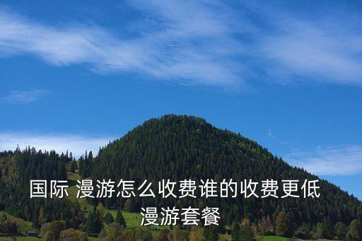 國(guó)際 漫游怎么收費(fèi)誰的收費(fèi)更低  漫游套餐