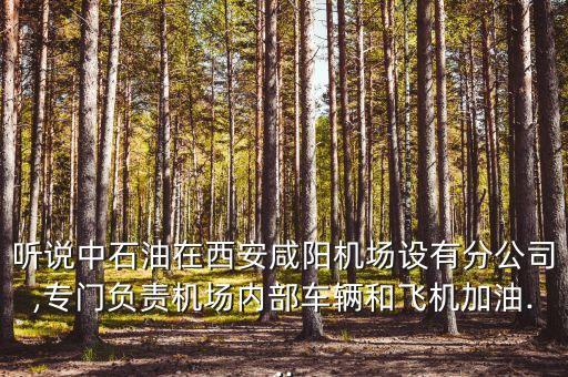 聽說中石油在西安咸陽機場設有分公司,專門負責機場內部車輛和飛機加油...