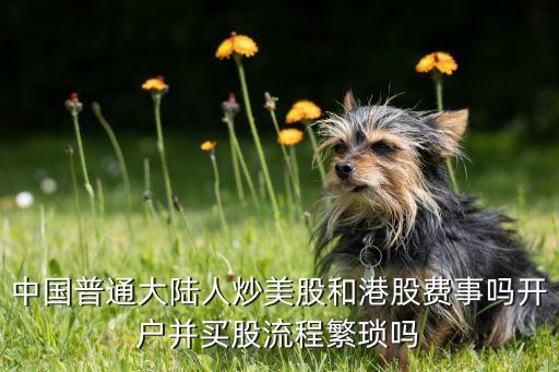 中國(guó)普通大陸人炒美股和港股費(fèi)事嗎開(kāi)戶(hù)并買(mǎi)股流程繁瑣嗎