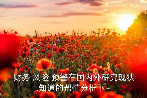  財務(wù) 風(fēng)險 預(yù)警在國內(nèi)外研究現(xiàn)狀,知道的幫忙分析下~