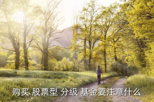 購買 股票型 分級(jí) 基金要注意什么