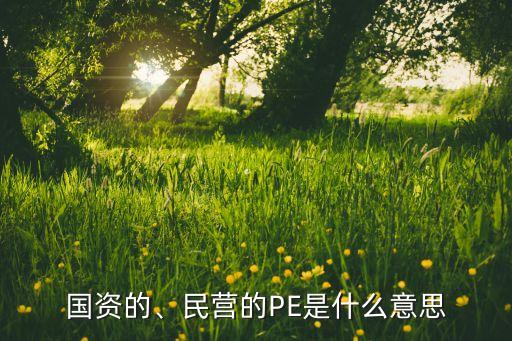國(guó)資的、民營(yíng)的PE是什么意思