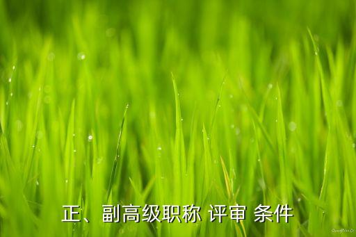 正、副高級(jí)職稱(chēng) 評(píng)審 條件
