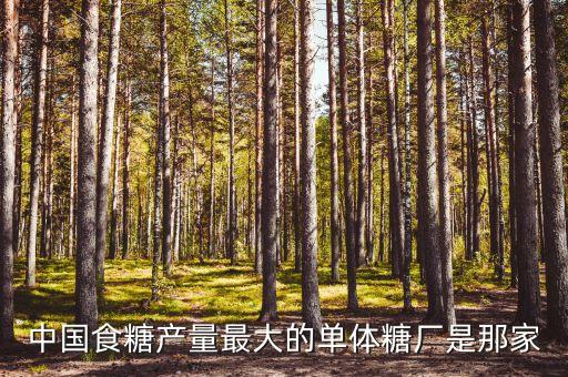 中國糖業(yè)發(fā)展情況,創(chuàng)新在中國的發(fā)展情況