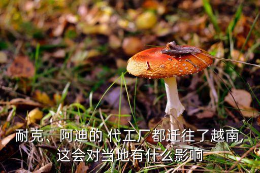 耐克、阿迪的 代工廠都遷往了越南,這會對當?shù)赜惺裁从绊? class=