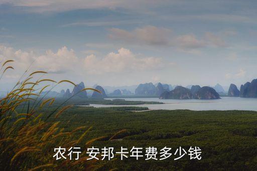 農行 安邦卡年費多少錢