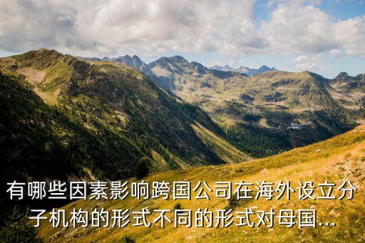 有哪些因素影響跨國公司在海外設立分子機構的形式不同的形式對母國...