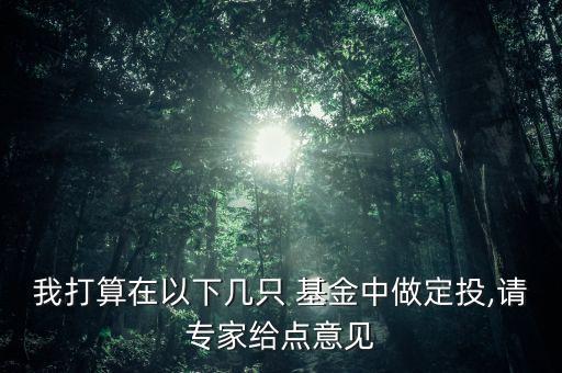 我打算在以下幾只 基金中做定投,請(qǐng)專(zhuān)家給點(diǎn)意見(jiàn)