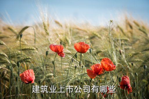 中國鐵建財報