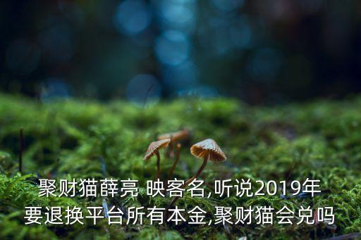 聚財(cái)貓薛亮 映客名,聽說(shuō)2019年要退換平臺(tái)所有本金,聚財(cái)貓會(huì)兌嗎