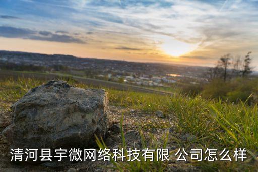 清河縣宇微網(wǎng)絡科技有限 公司怎么樣