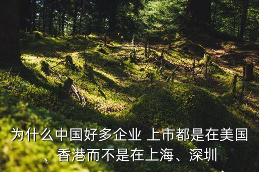為什么中國好多企業(yè) 上市都是在美國、香港而不是在上海、深圳