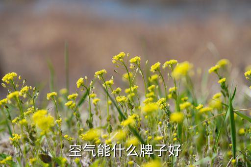 浙江開(kāi)創(chuàng)環(huán)?？萍脊煞萦邢薰?/></a></span><span id=