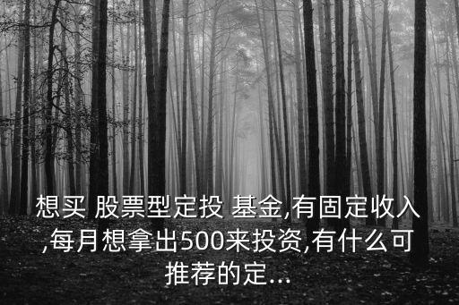 想買 股票型定投 基金,有固定收入,每月想拿出500來(lái)投資,有什么可推薦的定...