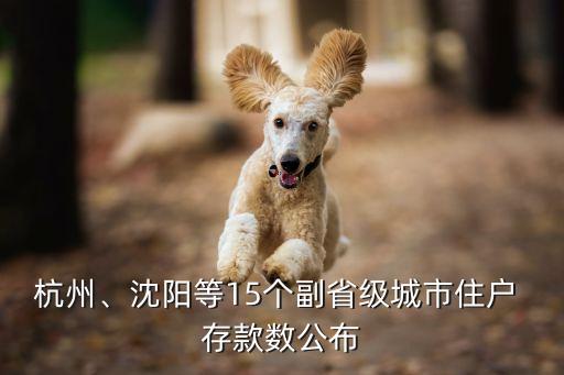 杭州、沈陽等15個副省級城市住戶 存款數(shù)公布