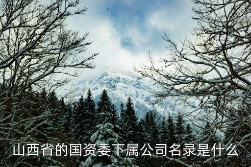 平潭國(guó)有資產(chǎn)投資發(fā)展集團(tuán),鼓樓區(qū)國(guó)有資產(chǎn)投資發(fā)展集團(tuán)