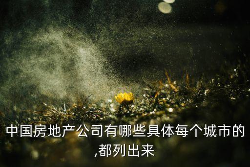 中國房地產(chǎn)公司有哪些具體每個(gè)城市的,都列出來