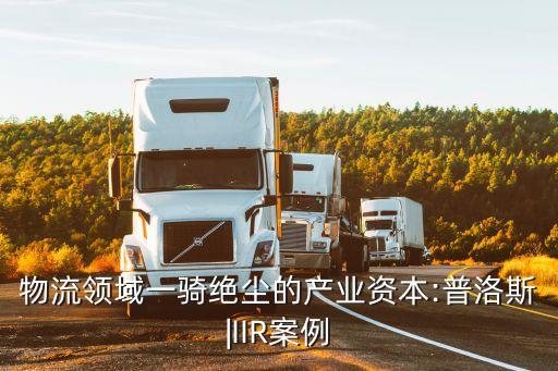 物流領域一騎絕塵的產業(yè)資本:普洛斯|IIR案例