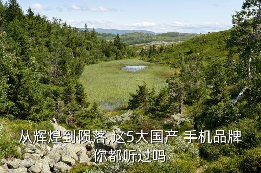 從輝煌到隕落,這5大國(guó)產(chǎn) 手機(jī)品牌你都聽過(guò)嗎