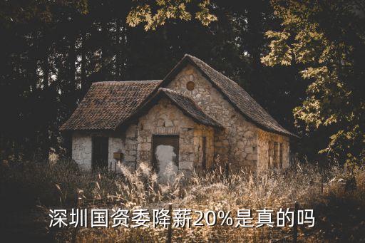 深圳國(guó)資委降薪20%是真的嗎