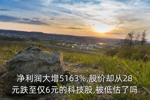 凈利潤(rùn)大增5163%,股價(jià)卻從28元跌至僅6元的科技股,被低估了嗎