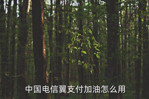  中國電信翼支付加油怎么用