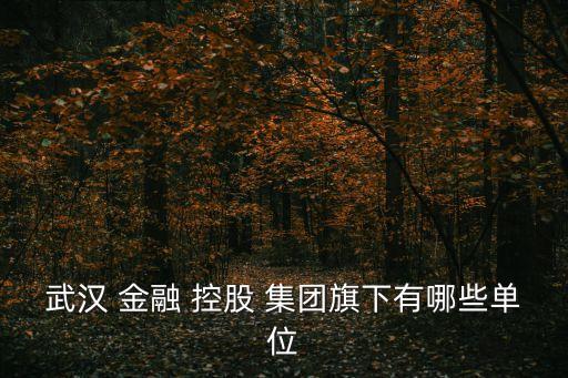 武漢 金融 控股 集團旗下有哪些單位