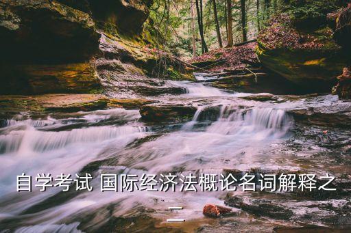自學(xué)考試 國際經(jīng)濟法概論名詞解釋之二