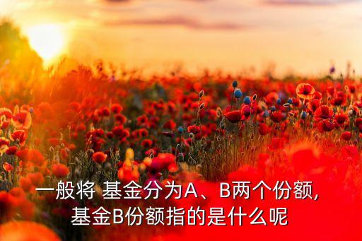 一般將 基金分為A、B兩個(gè)份額, 基金B(yǎng)份額指的是什么呢