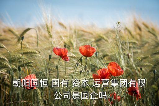 朝陽國恒 國有 資本 運營集團有限 公司是國企嗎